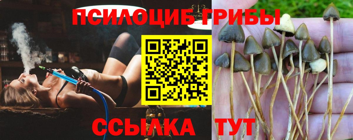 Псилоцибиновые грибы мухоморы Нижний Новгород