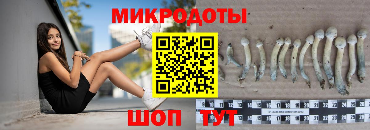 Псилоцибиновые грибы Psilocybe  Вход с VPN  Нижний Новгород 